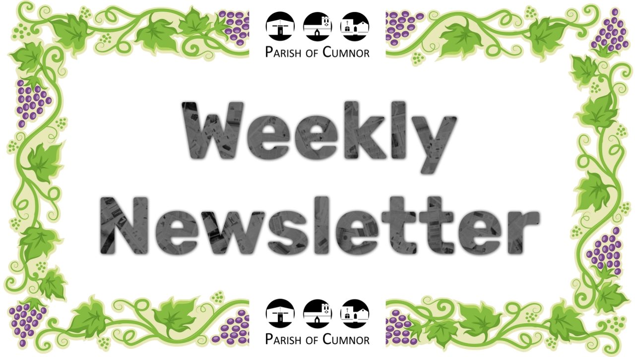Newsletter for July 24th 2022