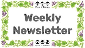 Newsletter for November 20th 2022