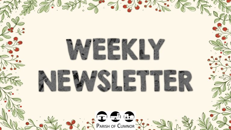 Newsletter for February 12-19th 2023