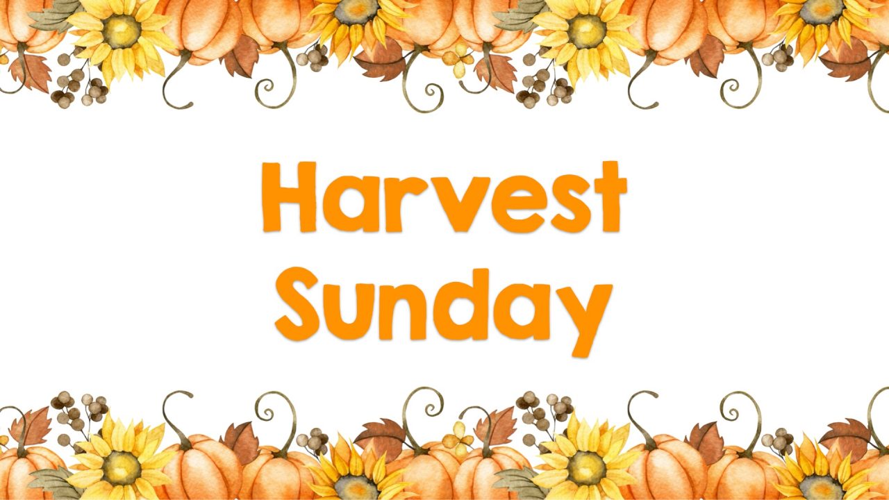 29/9/24 10:30am Harvest Festival: come and join us  or stream live